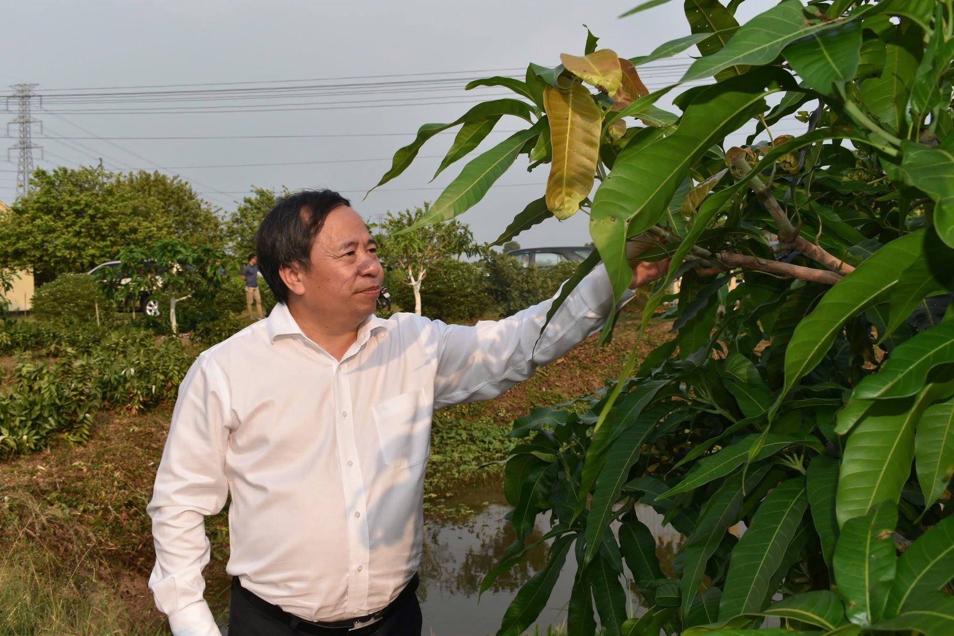 anh tin bai